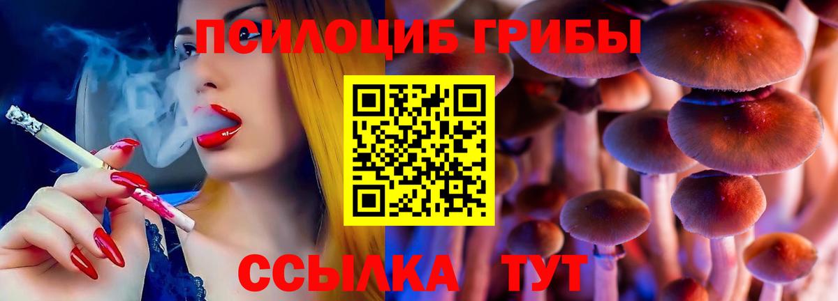 Псилоцибиновые грибы GOLDEN TEACHER  Вход с VPN  закладка  Мирный 
